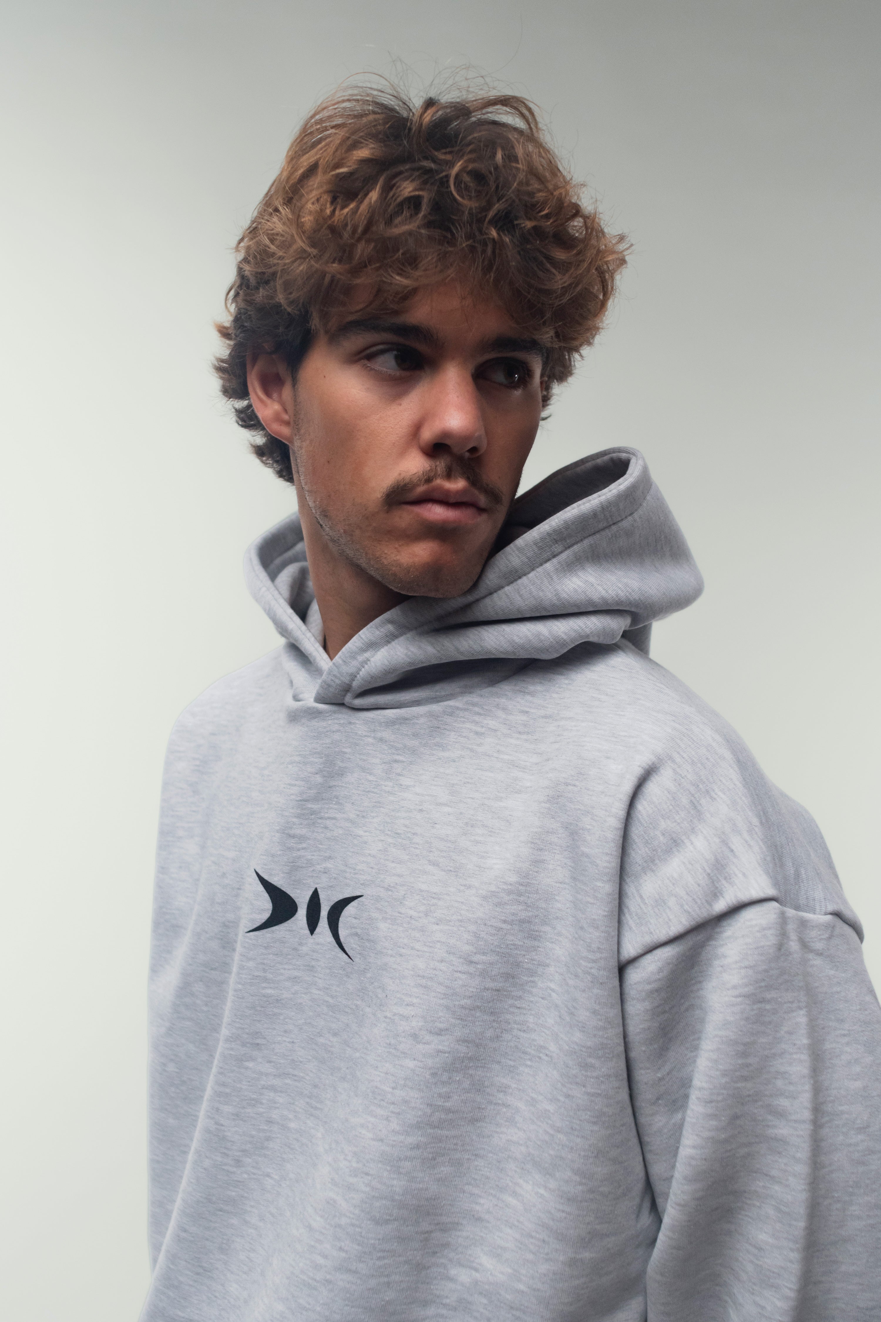Logo Light Grey Hoodie